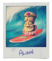 Aloha Picture