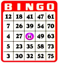 Bingo_3