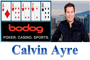 Calvin-Ayre-Bodog2