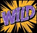 wildwildwest2
